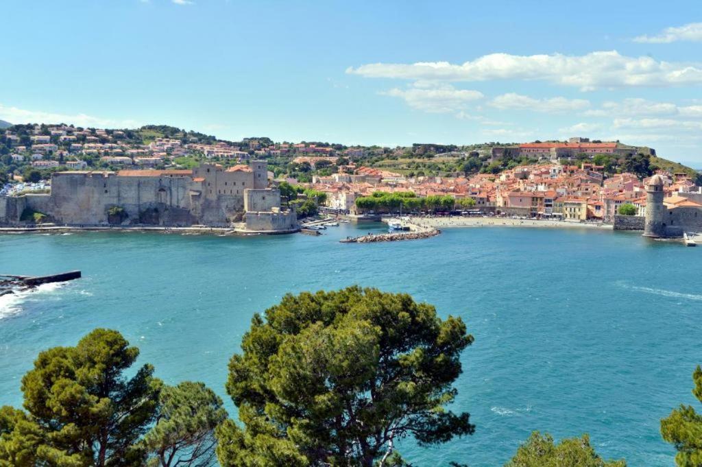 Vue Imprenable - Piscine - Parking Prive - Terrasse - Collioure Apartment Exterior photo